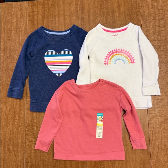 Girls 3T shirt lot-17 pieces! - Picture 2 of 6